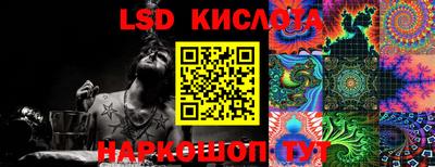 ГАЛЛЮЦИНОГЕННЫЕ ГРИБЫ Сланцы