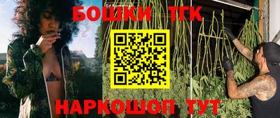 ГАЛЛЮЦИНОГЕННЫЕ ГРИБЫ Сланцы