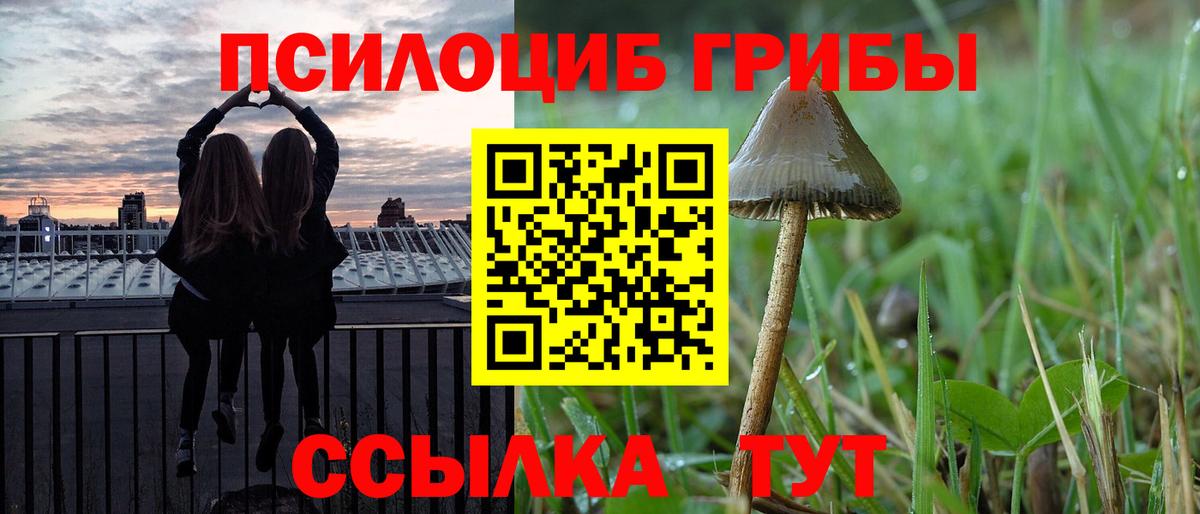 Галлюциногенные грибы Magic Shrooms  Галлюциногенные грибы прущие грибы  Ногинск  Вход с VPN 