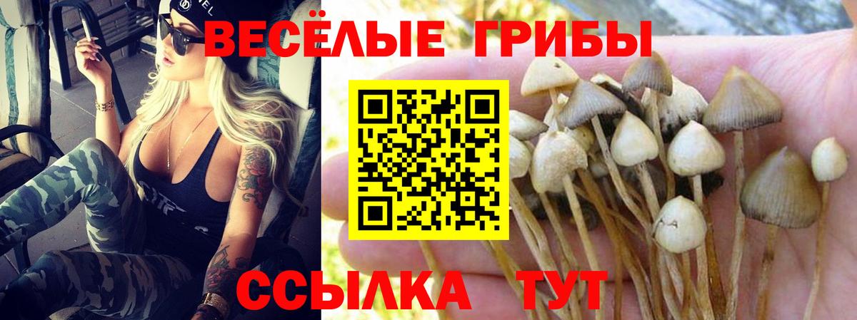 Псилоцибиновые грибы ЛСД Ногинск